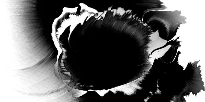 Abstract ink splatter transition in black and white seamless loop. Turbulent painting blot spreading from the center in this contemporary reveal 3D animation.