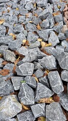 Yellow leaves on grey fine decorative gravel.