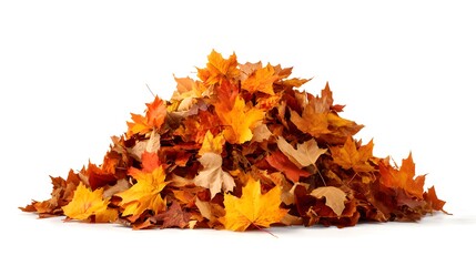 A vibrant pile of colorful autumn leaves, showcasing the beauty of fall season 