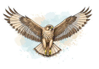 Flying Hawk Watercolor Art – Soaring Bird of Prey Illustration – Elegant Falcon Nature Painting – Wildlife Raptor Wall Decor – Hand-Drawn Flight Design


