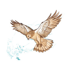 Flying Hawk Watercolor Art – Soaring Bird of Prey Illustration – Elegant Falcon Nature Painting – Wildlife Raptor Wall Decor – Hand-Drawn Flight Design

