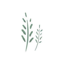 green grass isolated on white