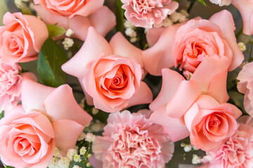 pink rose background ,natural texture