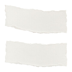 Two pieces of torn paper with rough edges on transparent background.