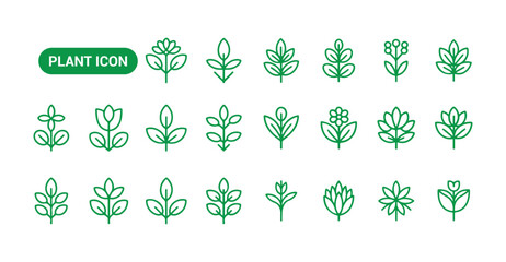 Green plant outline icons. Plant icon. Leaf symbol. Vector illustration eps 10