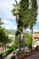 Panoramic shot moving right, revealing a grand castle estate through lush gardens. Tall cypress trees frame the scene as sunlight filters through, highlighting the architectural details.