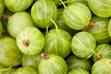 Fresh green gooseberries arranged closely together, showcasing their smooth skin and unique ribbed texture, highlighting the vibrant color and natural beauty of this fruit