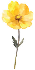 Naklejka premium Watercolor Yellow Flower Vector Illustration with Transparent Background Design Art