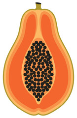 Fresh papaya fruit cut in half showing orange flesh and black seeds, tropical exotic fruit illustration for healthy food concepts
