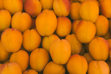 A close-up view of fresh, ripe apricots stacked together. The apricots are bright orange with a smooth texture, showcasing their organic quality.