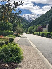 Route de montagne printanière vers les sommets enneigés | Springtime Mountain Road Leading to Snowy Peaks

