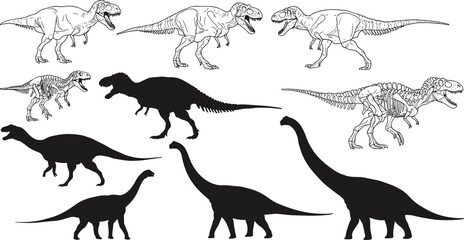 Black silhouette and skeleton set of various dinosaurs, prehistoric creature illustration, fossil anatomy vector design, ancient reptile collection artwork