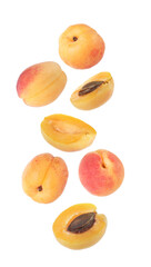 Fresh juicy apricots falling against white background