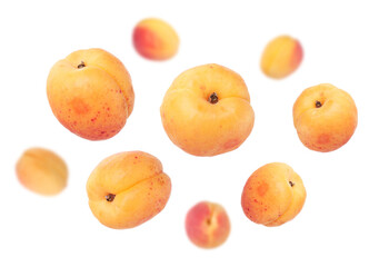 Fresh juicy apricots swirling in air against white background
