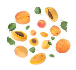 Fresh juicy apricots swirling in air against white background