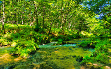 栃木県日光市　奥日光の戦場ヶ原を流れる湯川