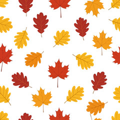 Fototapeta premium Seamless pattern of autumn leaves, including maple and oak, in shades of red, orange, and yellow, scattered across a white background.