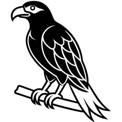 Obraz premium Majestic perched hawk bird of prey vector logo graphic