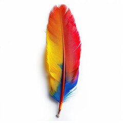 Vibrant colorful feather against white background