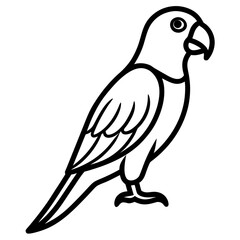 Obraz premium Simple line art drawing of a parrot, an isolated bird vector illustration.