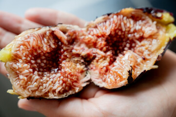 Cut fig in a woman's hand, close-up