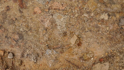 Ground display of textured earth mixed with pebbles and water, showcasing nature's intricate patterns and colors under natural light