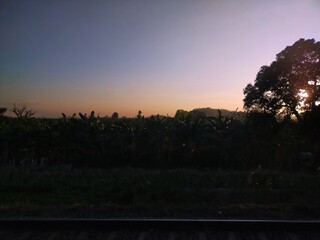 sunset over the forest