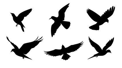 Silhouette Bird Collection, Flying Birds Vector Graphics