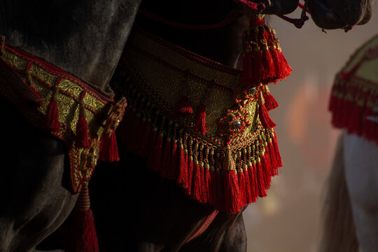 The Ornate Fantasia Saddle فن وحرفية السرج المغربي