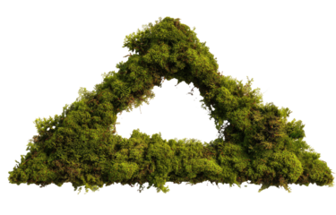 Moss triangular shape with hollow center