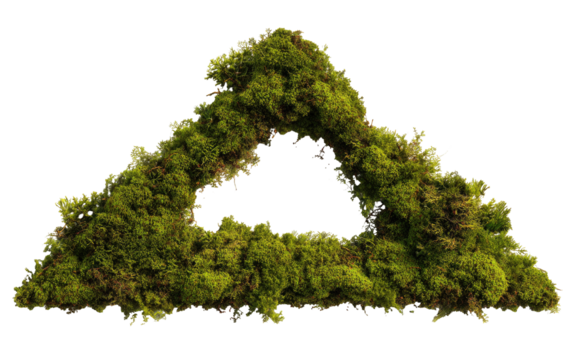 Moss triangular shape with hollow center