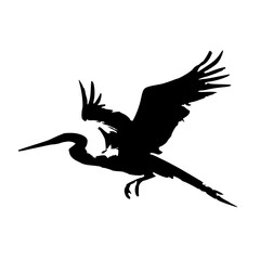 Silhouette of a flying crane