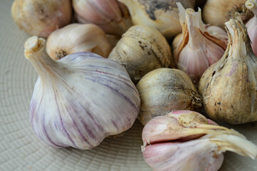 fresh garlic bulbs on a ceramic plate, rustic kitchen scene. themes: organic food, natural medicine, cooking ingredients, rustic lifestyle, homegrown produce.