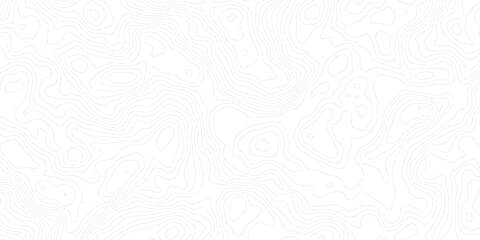 Minimal white abstract topographic map background with soft contour lines. Ideal for geography themes, elevation data visuals, terrain-based designs, or modern website and presentation templates.