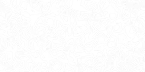 Minimal white abstract topographic map background with soft contour lines. Ideal for geography themes, elevation data visuals, terrain-based designs, or modern website and presentation templates.