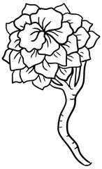 Ipe Flowers Vector Outline Line Art Drawing