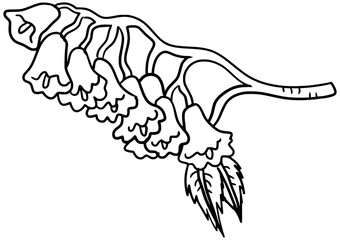 Jacaranda Flowers Vector Outline Line Art Drawing