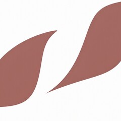 vector illustration of a leaf