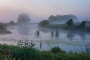 Fototapeta premium morning mist over the river