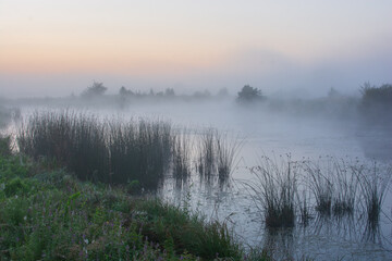 morning mist on the river with grass