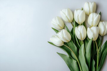 Obraz premium Bouquet of white tulips on right side against plain background with copy space on left, web banner style