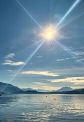 Bright sun over a blue lake with flying bird and Swiss Alps in the background. 