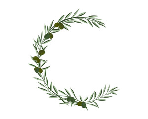 Obraz premium Decorative floral frame with green olive isolated on white background