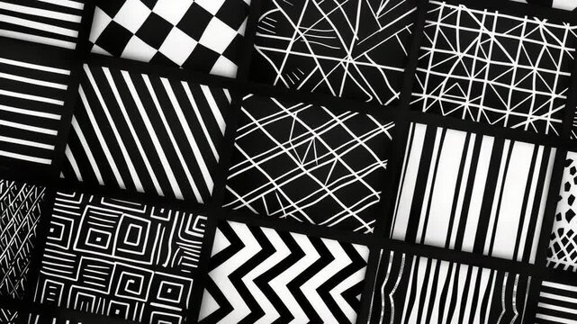 Black and white photograph showcasing diverse patterns