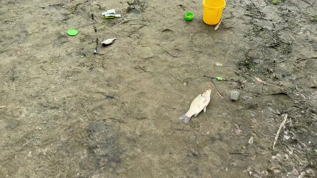 caught fish hangs on the hook	