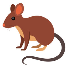 Long-tailed Field Mouse