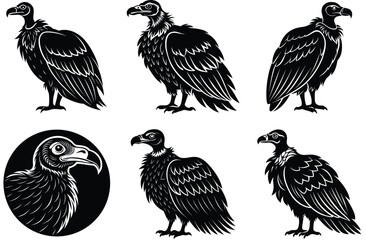 VULTURE VECTOR ANIMAL