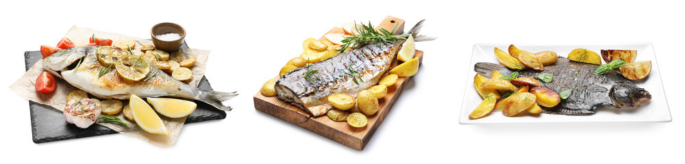Fried fish. Dishes isolated on white, set