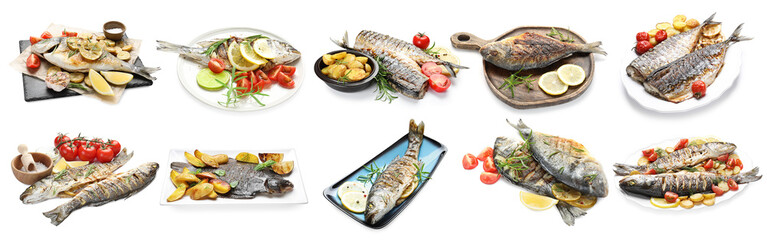 Fried fish. Dishes isolated on white, set