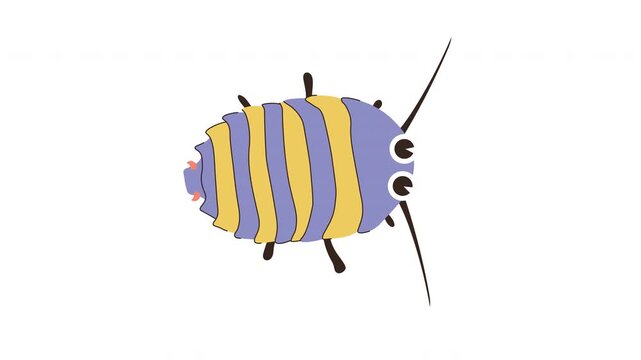 Explore The Animated Journey Of Colorful Bugs As They Express Their Vibrant Characteristics